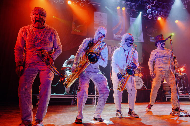 Here Comes the Mummies Here Comes the Mummies